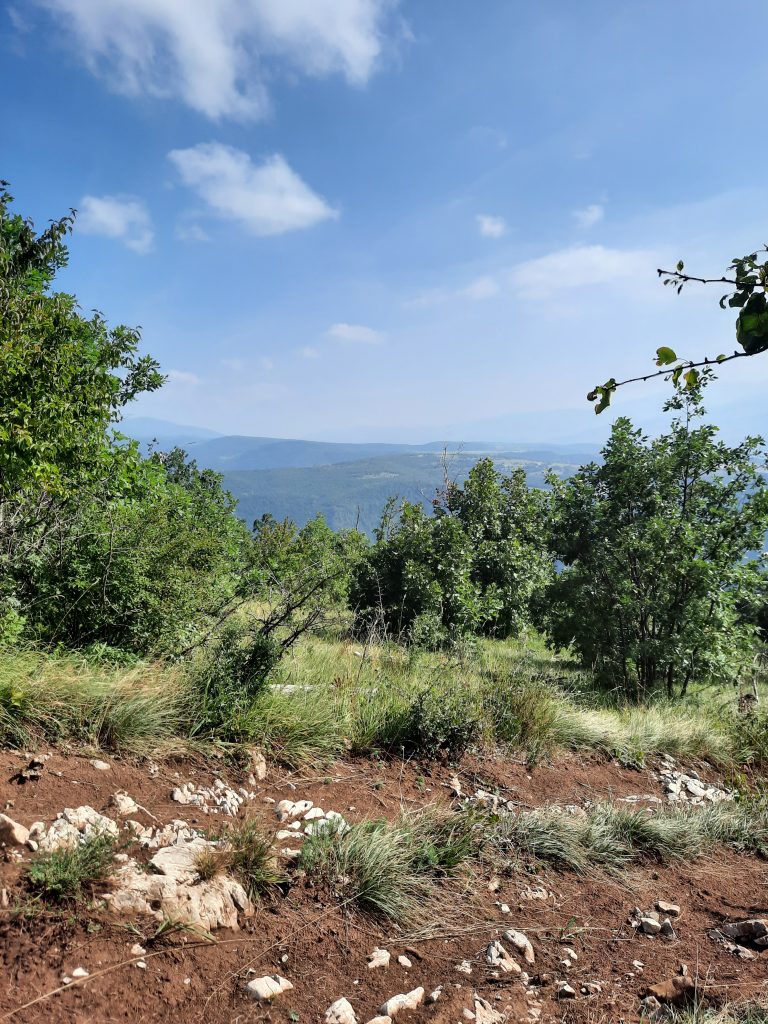 Rudina